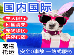 萧山航空邮寄国际宠物托运 【国